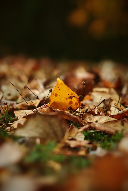 境的基石 境的基石